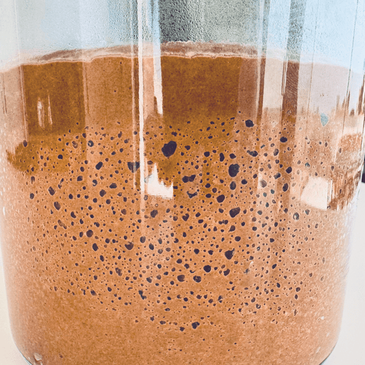 🍫 Chocolate Sourdough Starter