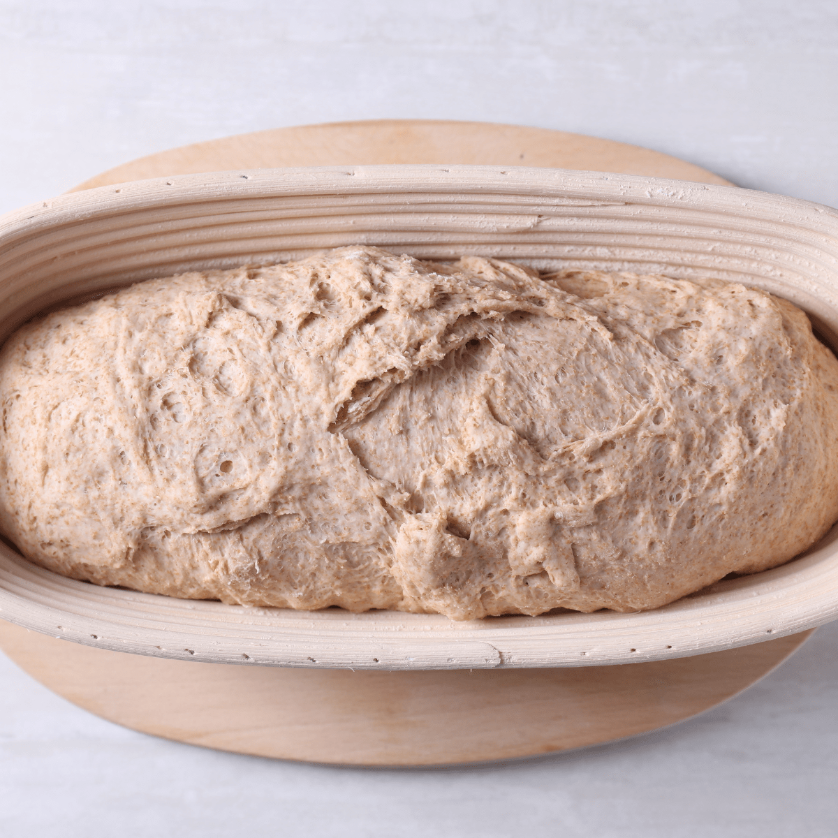 Oval Proofing Basket with Removable and Washable Liner – 24.5cm