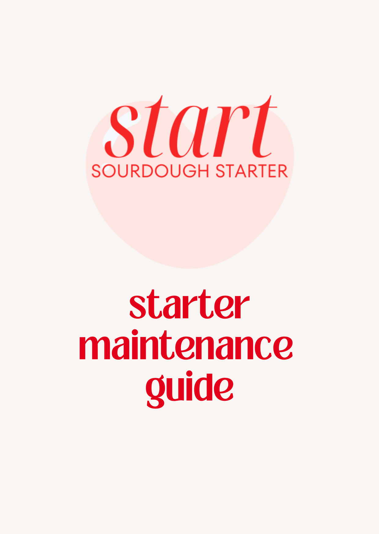 Starter Maintenance Guide | Digital PDF