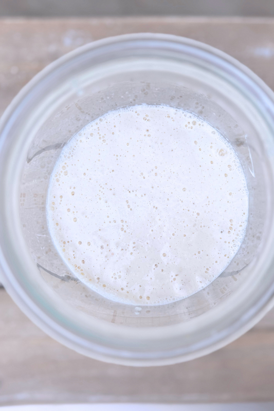 Why Buying a Mature Sourdough Starter Saves You Time & Trouble
