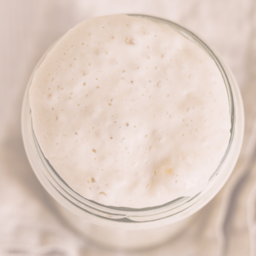 Why Sourdough Starter Malta is a Must-Have for Home Bakers