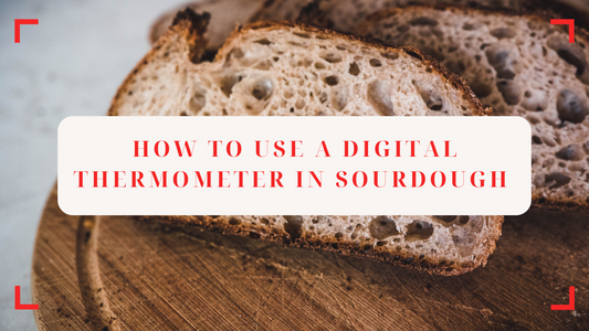 🌡️ How to Use a Digital Thermometer in Sourdough Baking