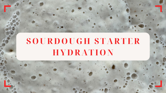 🥖 Sourdough Starter Hydration Explained: 100%, 75%, and More