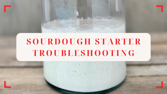 🥖 Sourdough Starter Not Rising? Here’s What to Do