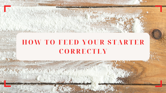 🥄 How to Feed Your Starter Correctly (and Ratios Explained)