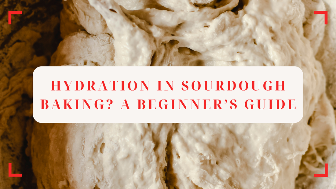💧 What Is Hydration in Sourdough Baking? A Beginner’s Guide