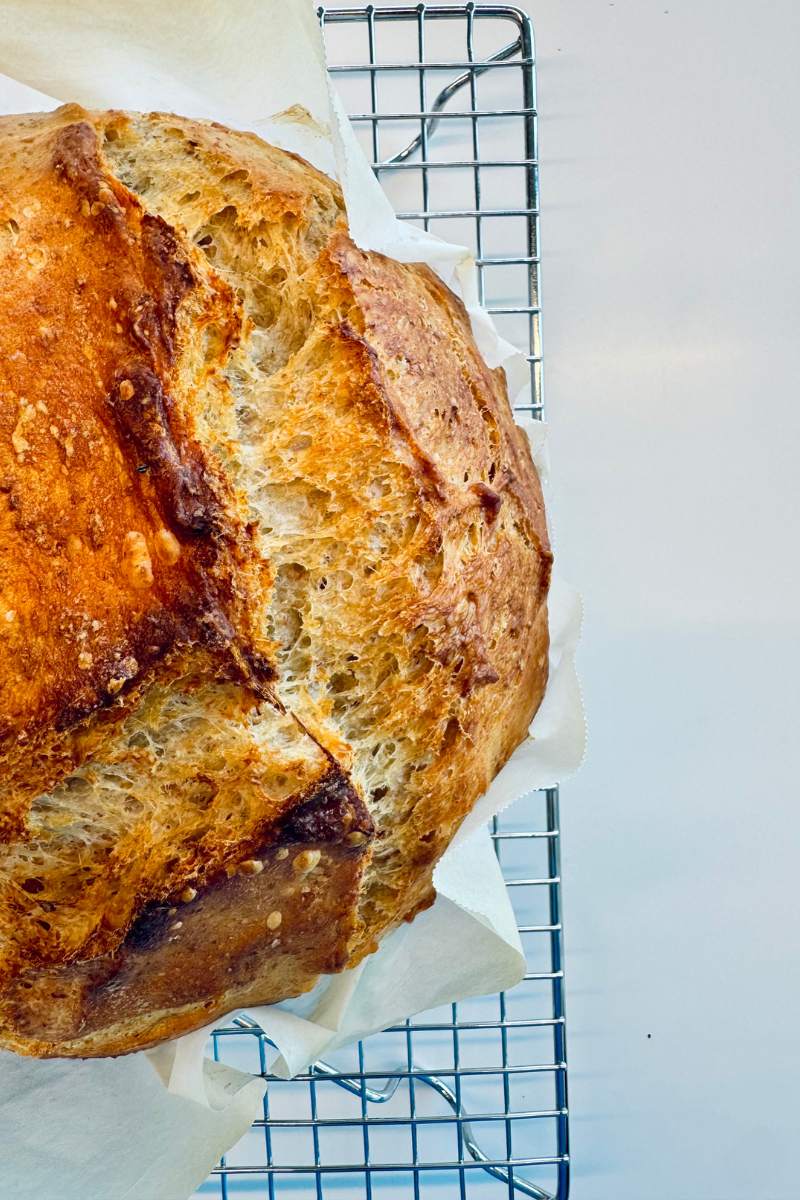 Sourdough Starter Hydration Explained – What Does 100% Hydration Mean?