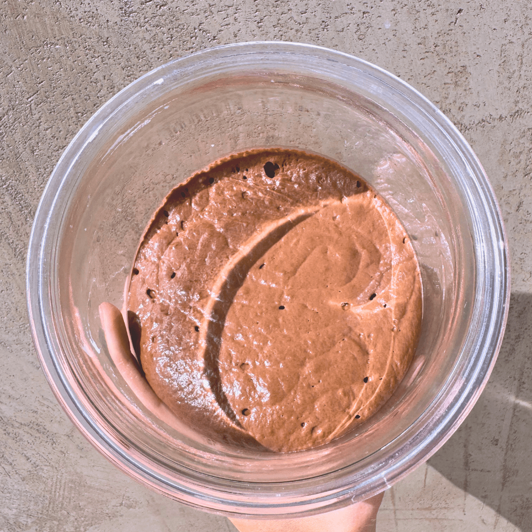 🍫 Chocolate Sourdough Starter